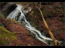 descending down from lee falls sc.jpg